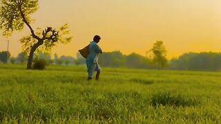 Punjabi poetry 2