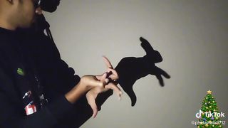 Expriment Video