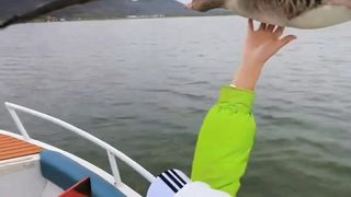 How to make Amazing ship board Trip