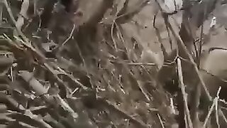 War in Ukraine