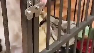 Длинный язык всегда выручит :)
