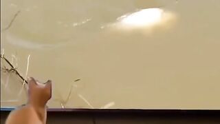 smart cat video watch till end ???????????? #unstoppable #going
