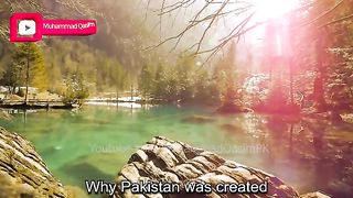 Pakistan 7