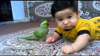 Baby and tarbooz|| very funny kids video