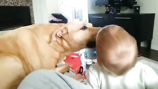 Dog is love ????????????