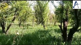 pakistan spring weather || pakistan || Abidafridi