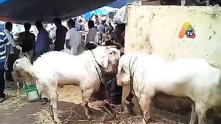 پولیس کی بھرتی ????????