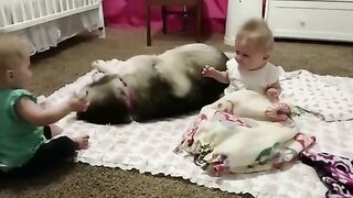dog for love children ????????????