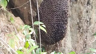 Wonderful nature with happy