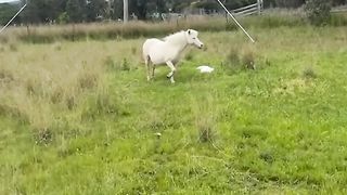 She is so proud of her new baby