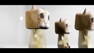 El Gato In My Mind