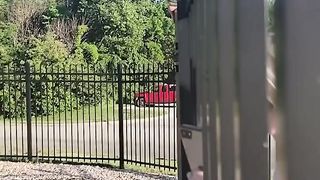 They could hear the fawns cries when they walked by, so this heroic dad hopped the fence and leaped into action