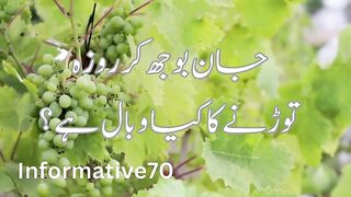 Roza chorne ka guna