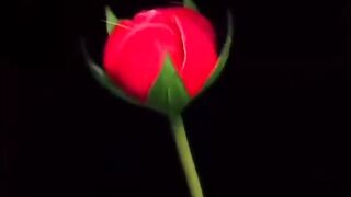 Nice video 36