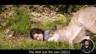 SHEER aur WOLF ne Bachai Ladki ki JAAN