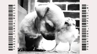 Dosti ka rashtay