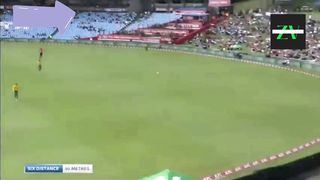 Vindies sixes