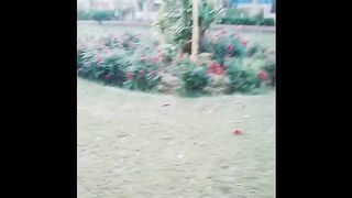 Khajawa maqsood park.plz like