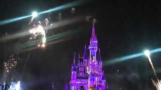 Fireworks at Walt Disney World.
