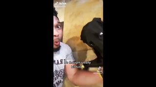 Funny Animal Videos that Make Me Burst Into Tears Laughing (Cute)