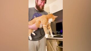 OMG So Cute | Funniest Cats And Dogs 2
