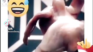 Tik Tok Show Тик Ток Прикол когда один дома