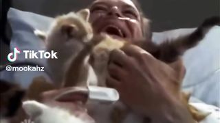 Cute Pets ???? | Funny Cats and Dogs Videos ???????? | Best Compilation 2023 ???? March # 27