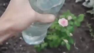 КАК ДА УНИЩОЖИМ ВЪШКИТЕ