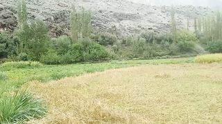Thanks to Allah Almighty for creating us in such a beautiful place