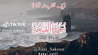 Surah qiyama Urdu translation heart tucheng quotes heart tucheng
