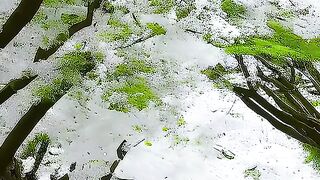 Beautiful moments 2
