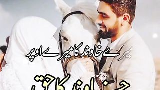 Ache bat 4