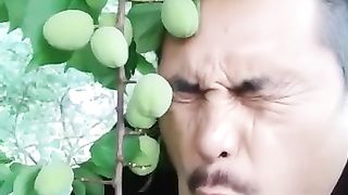 Funny video 310