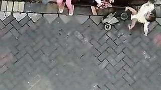 Monkey the kidnaper