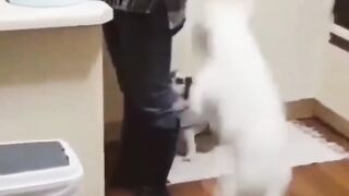 Cute and funny 2