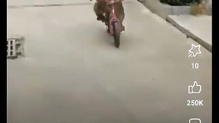 Hhgghghhggyuhh