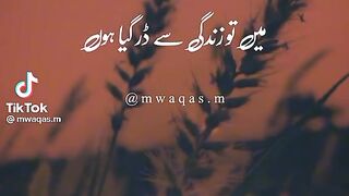 Waqas 3