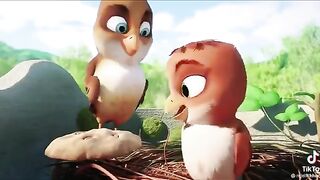 Tiktok  star my birds