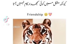 Mujhe pagalon se dosti karna Achcha lagta hai