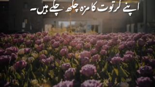Beautiful Recitation of Quran
