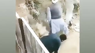 Funny video 313