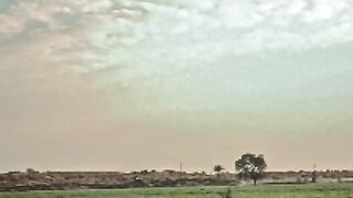 HAMAD E BARI TALA