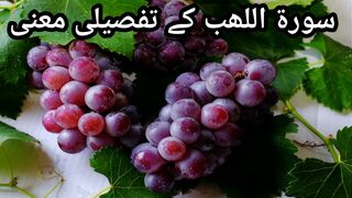 Surah Al lahab  l surah lahab ful Urdu translation  Quran with translation