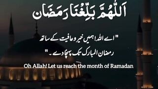 Quran Verses Status|Ramzan Mubarak Status| The Door Of Islam