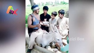 Pakistani Tiktok Funny Compilation 2023 | New Tik Tok Video 2023 Pakistani