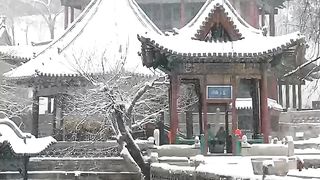 Snow Fall 2
