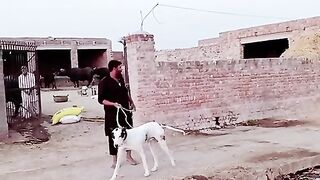 Fun a person in house