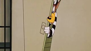 Funny Cartoon 2