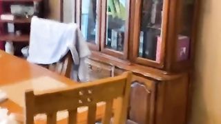 Funniest pets video