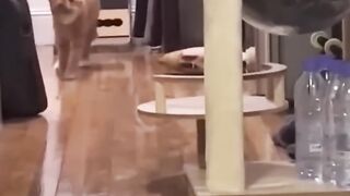 Part 3 2